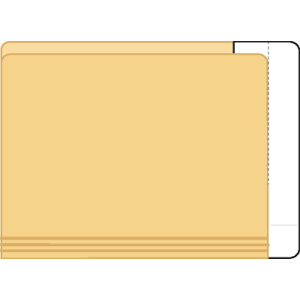 Tabbies 55996 Extenda Folder Strips 9.5 X 3.75