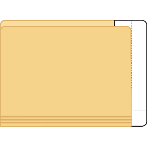 Tabbies 55996 Extenda Folder Strips 9.5 X 3.75